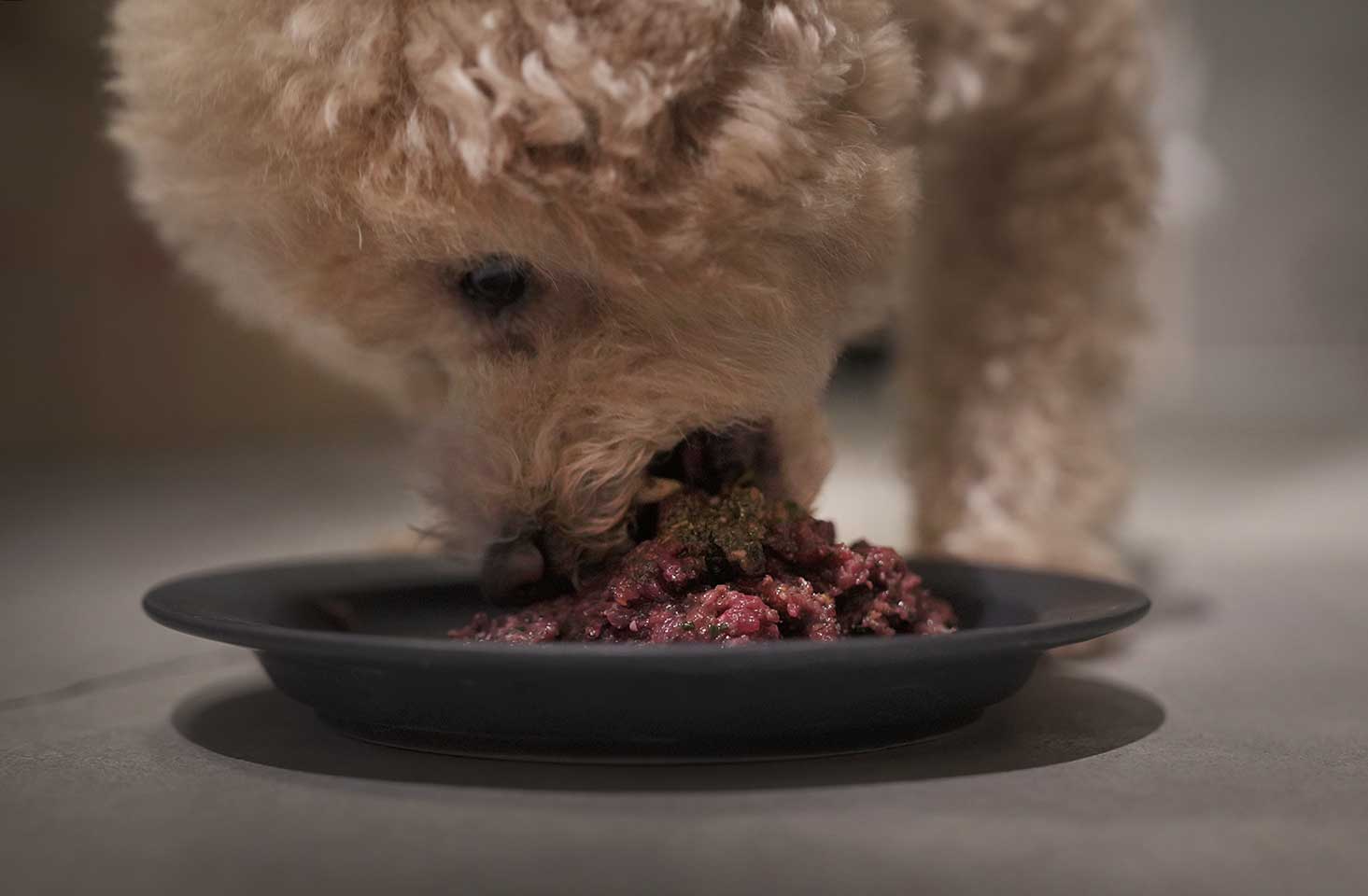 犬の本来の食事　グリーンオーガンズ