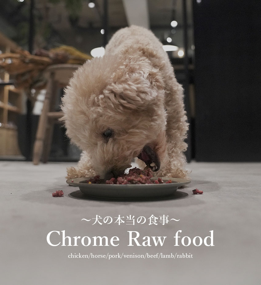 犬の生食ウルス