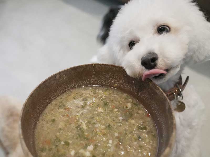 犬 自然食　酵素スープ ウルス