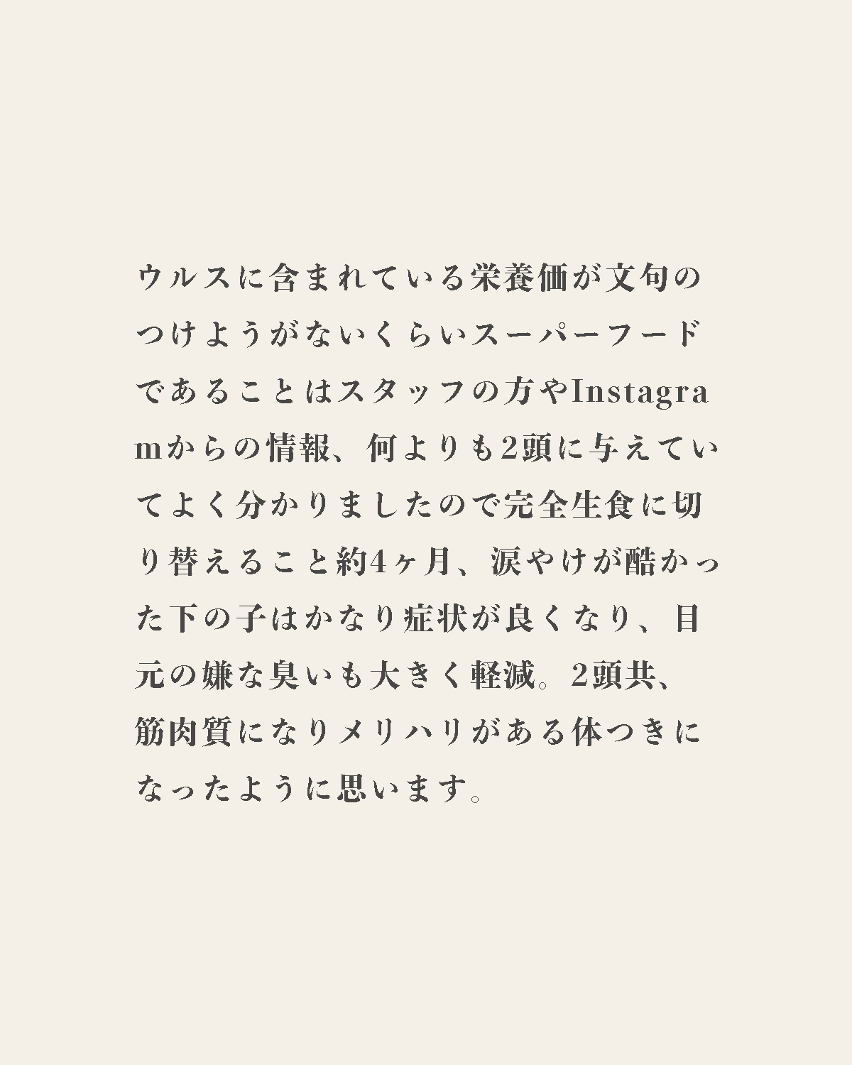 発酵野草ドッグフードウルス