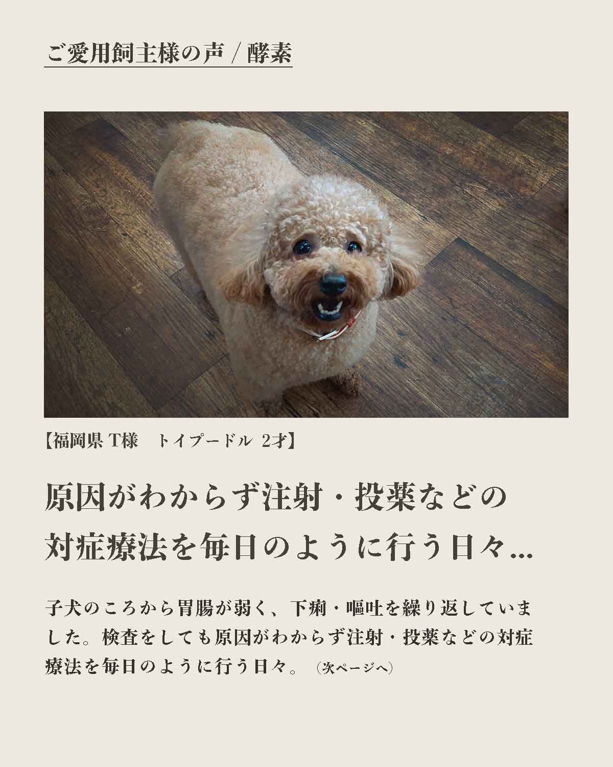 犬の手作りフード 生食 発酵野草入りローフードウルス