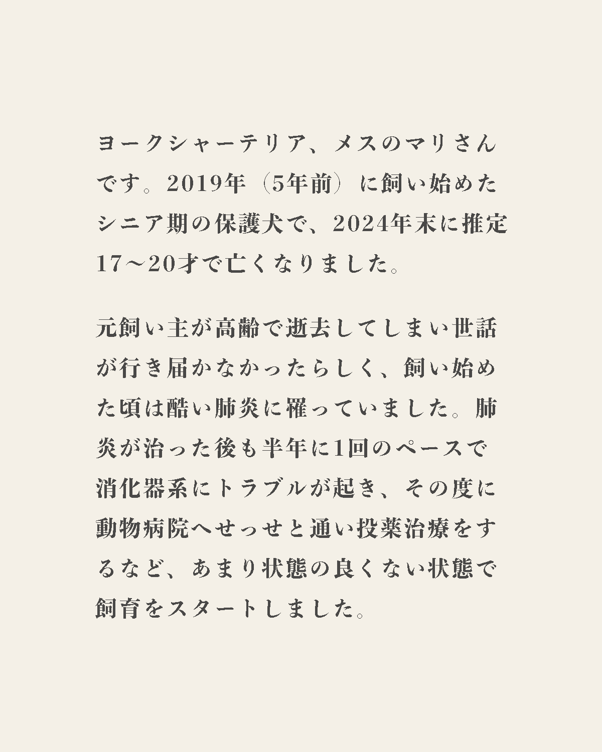 発酵野草ドッグフードウルス